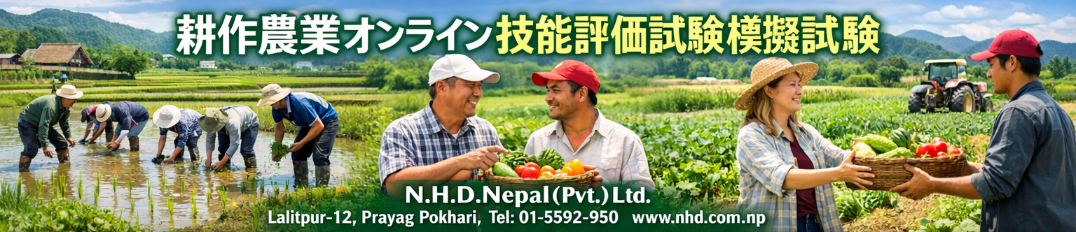 Japanese Lifestyle Banner
